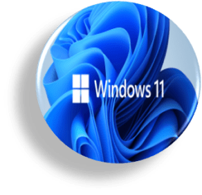 Installa Windows 11